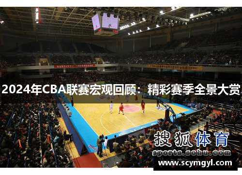 2024年CBA联赛宏观回顾：精彩赛季全景大赏