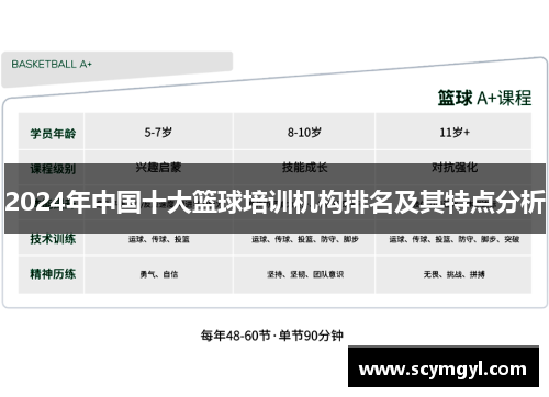 2024年中国十大篮球培训机构排名及其特点分析