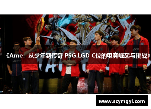 《Ame：从少年到传奇 PSG.LGD C位的电竞崛起与挑战》